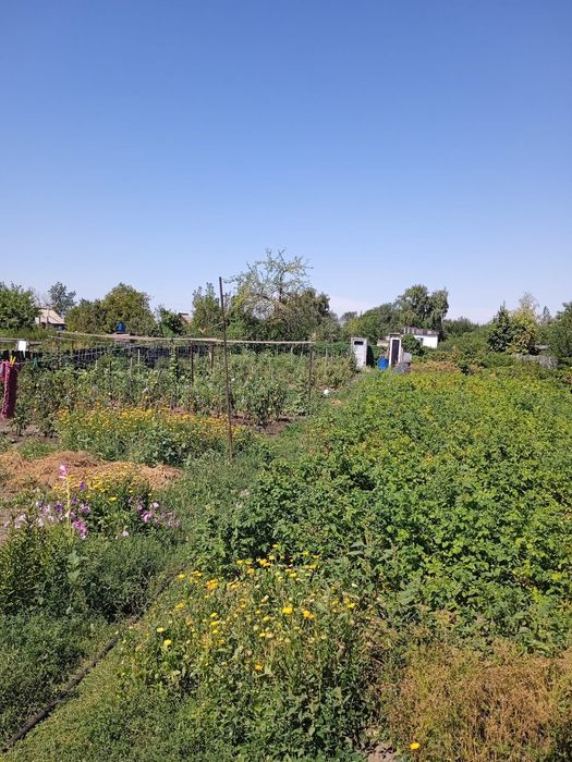 Продам дачу на Черемушках