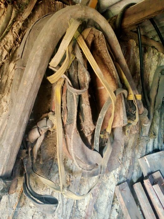 Сбруя, телега для лошади