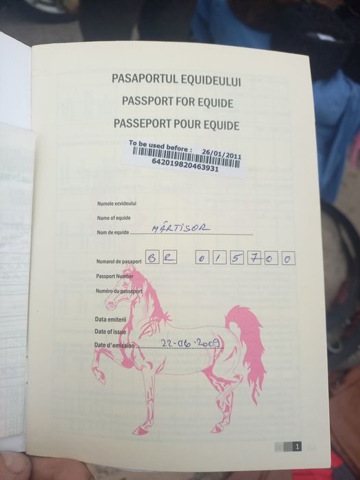 Vând noatenă trapasa