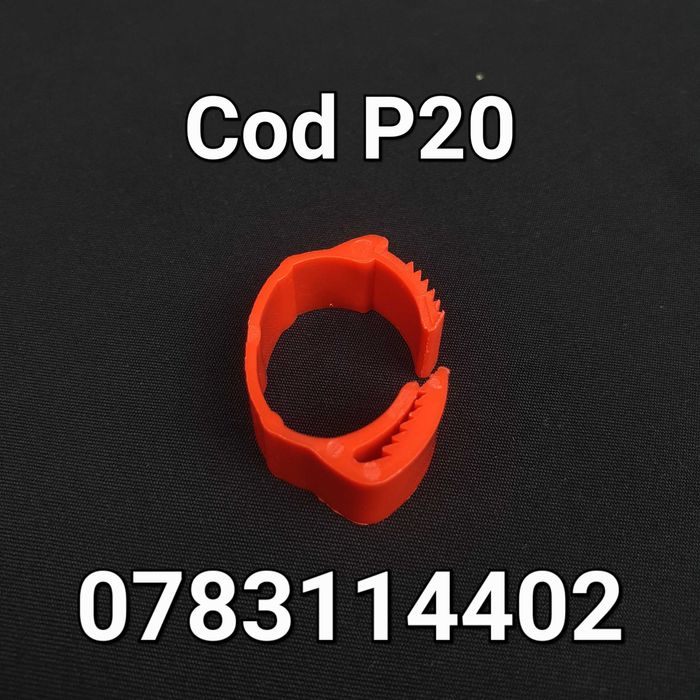 Curci Australorp Sussex Pasari Gaini Gaste Fazani-CLEME Ajustabile-P20