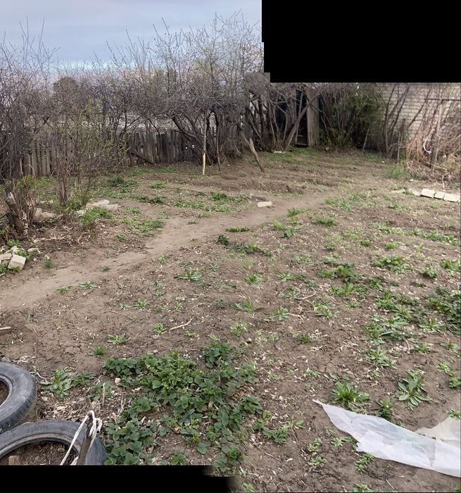 Продам дачу сад Здоровье