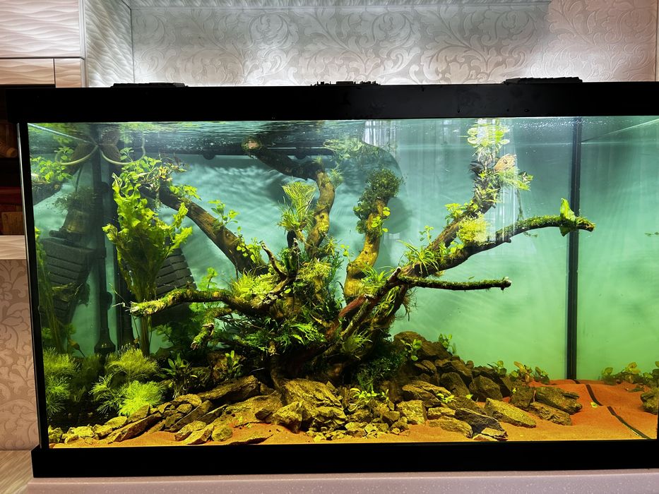 Коряги и камни для аквариума