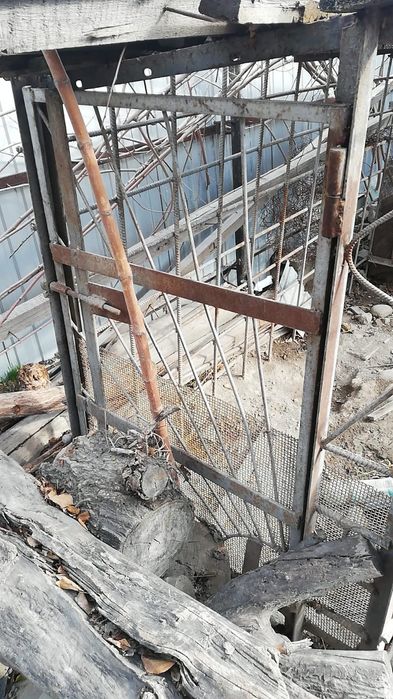 Решетка для собак