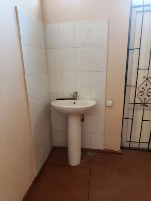 To'qmang'itda Kotej  sotiladi