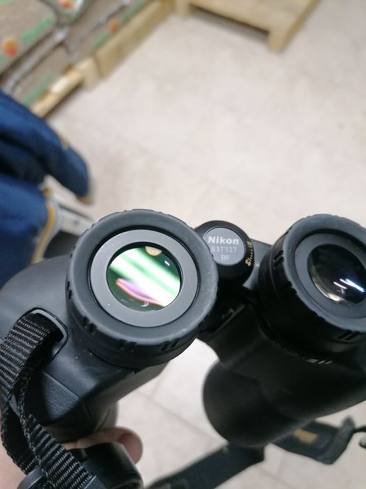 Бинокъл Никон Екшън ЕХ  12х50