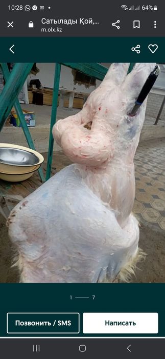 Бассейндегі жасырын камера порносы