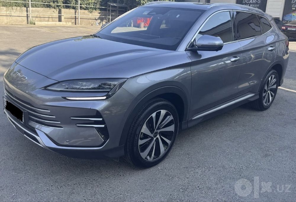 Byd chempion gibrid 150 tali kraska toza