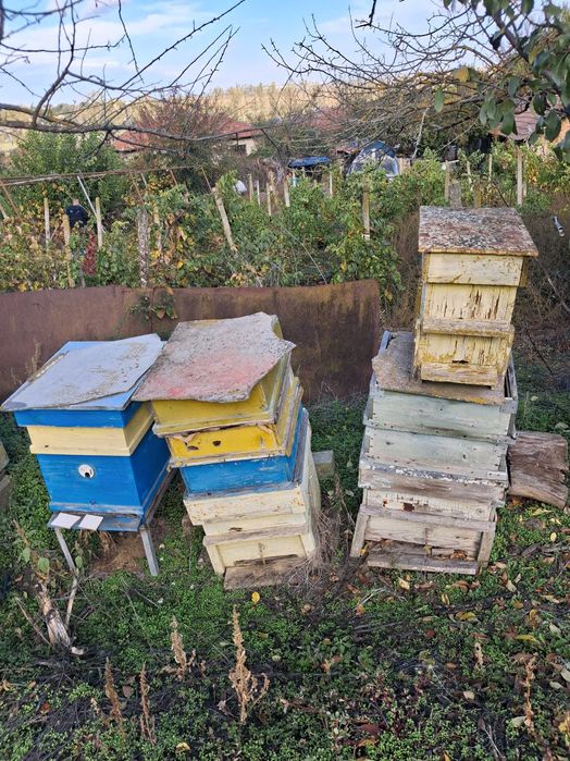 Оборудване за пчели