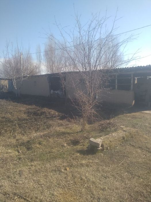 Уй сотилади бокада