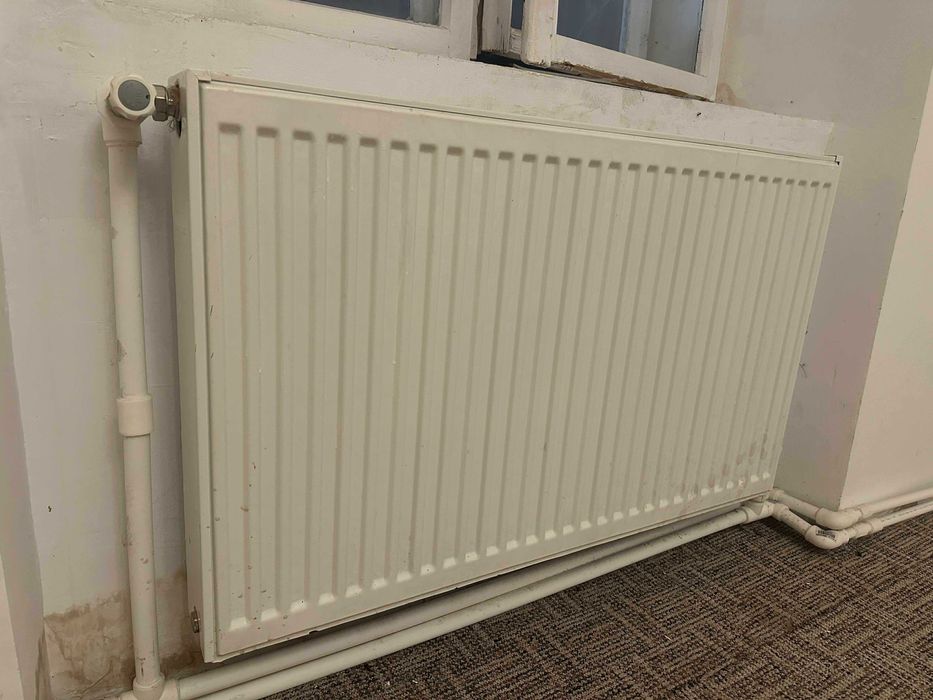 Radiatoare/calorifere Ferroli