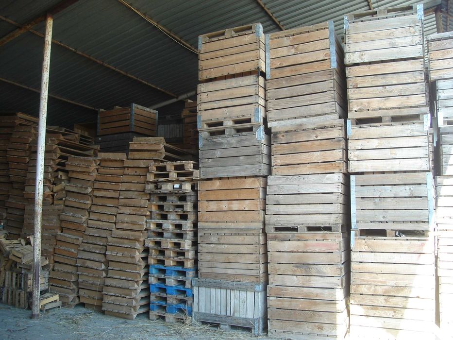 boxpaleti din lemn