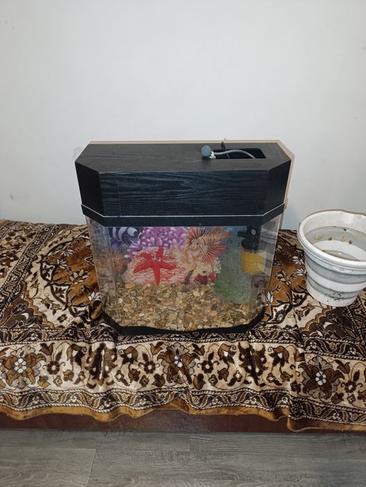 Аквариум в хорошем состоянии