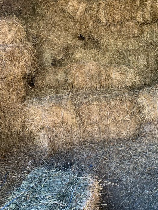 Vand baloti: lucerla, fan, otava si paie