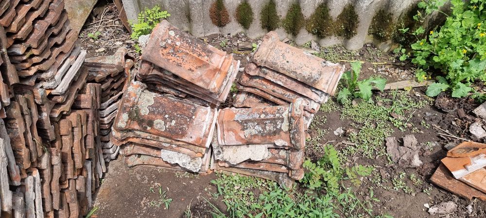 Țiglă leul Jimbolia