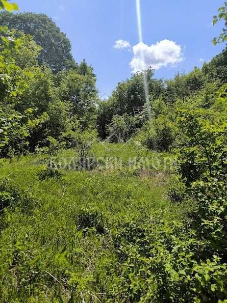 Продава се Парцел в с. Арбанаси, Област Велико Търново - 601 кв.м за 41 €/кв.м - Снимка #5