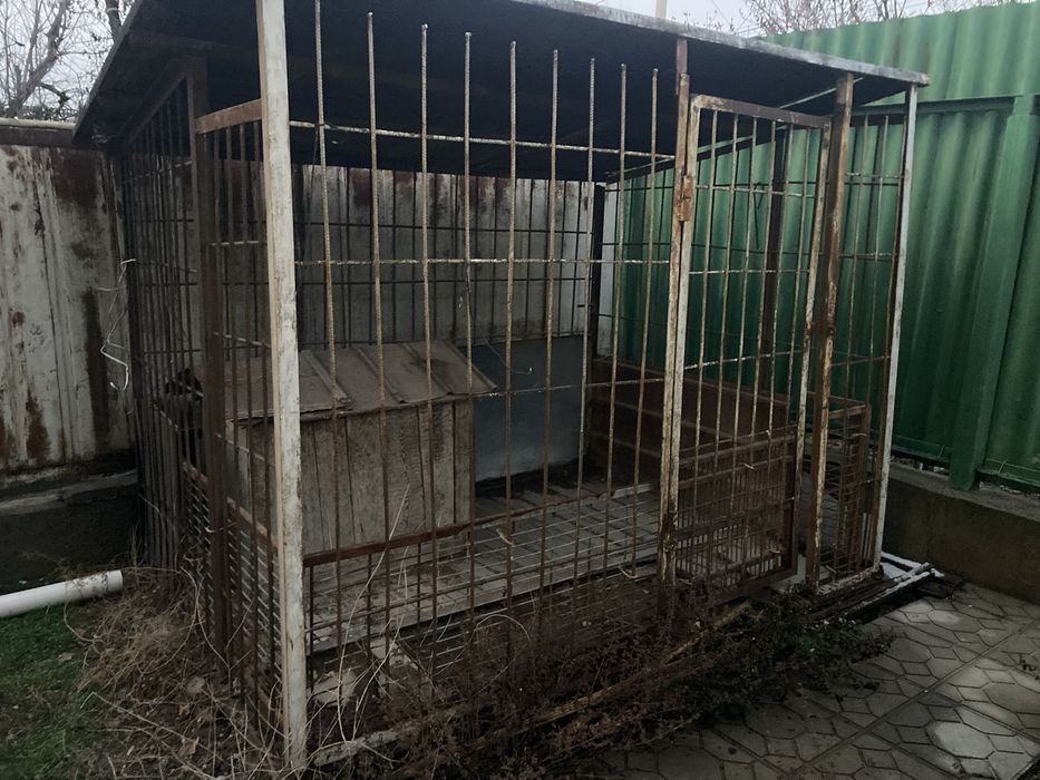 Вальер для собак Алабаев 4#2