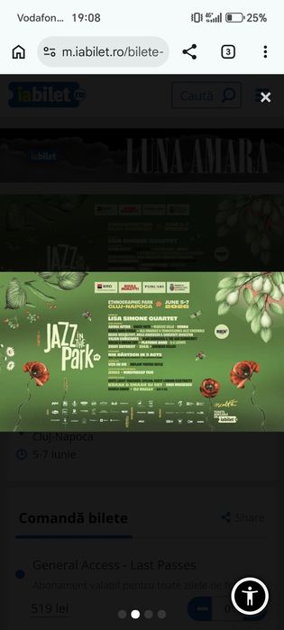 Jazz in the park