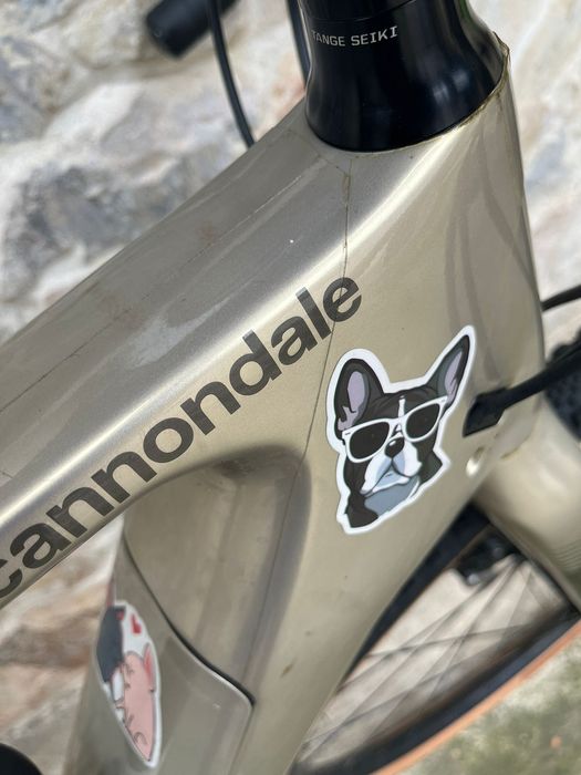 Bicicleta Gravel Electric Cannondale TopStone 4 Neo Carbon