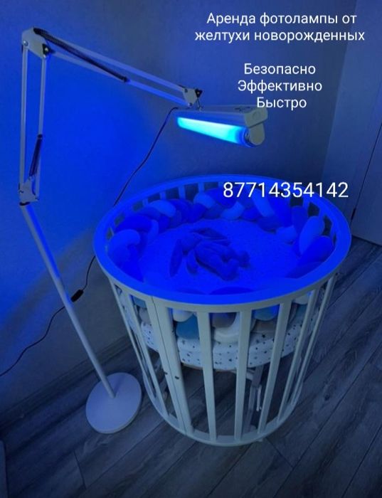 Аренда профессиональной фотолампы от желтухи ОФТН-03