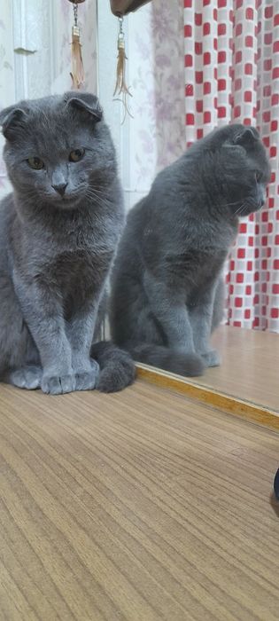 Birinchi shaxs lezbiyan jinsiy aloqa