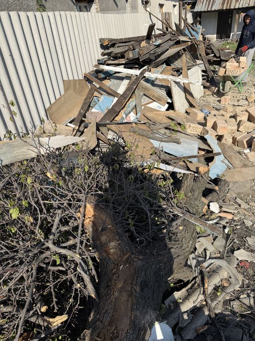 Дрова бесплатно!