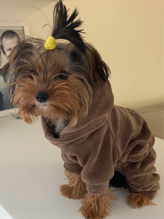 Теплая одежда  для маленьких собачек, щенков