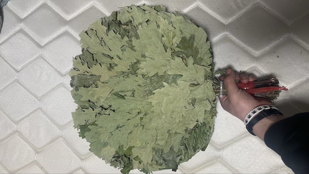 Дубовые веники для бань