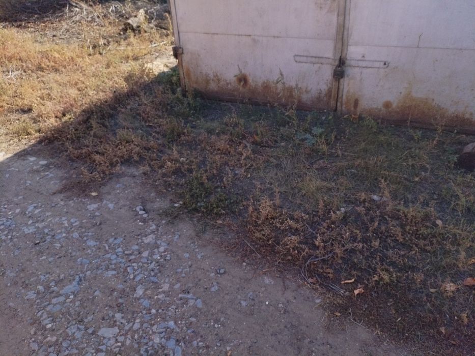 Продам гараж 6 на 2. 5 находиться в подстепном