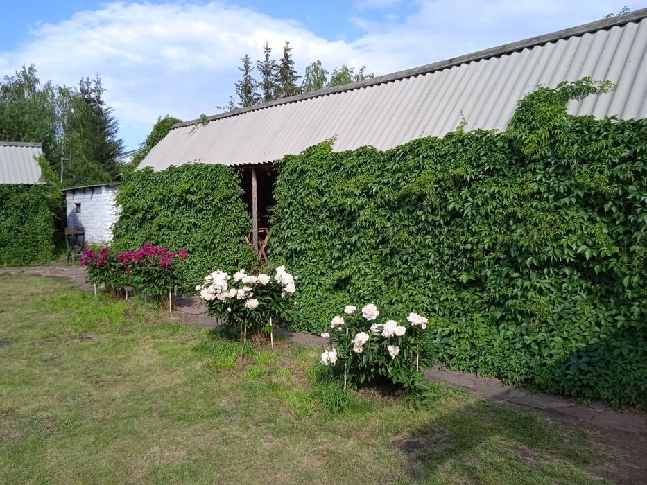 недвижимость дома