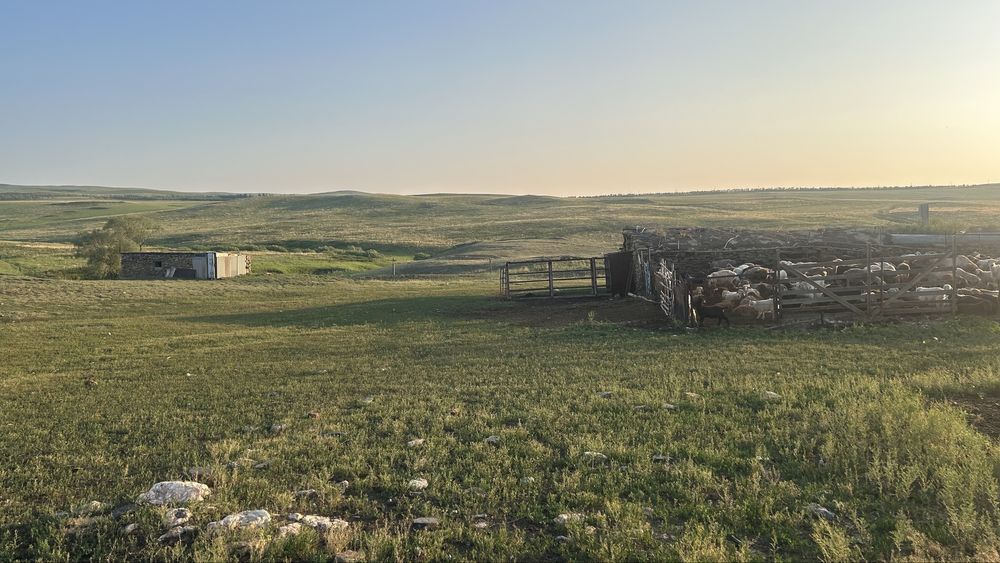 Продам крестьянское хозяйстсо