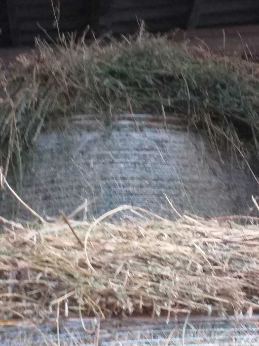 Vind Fin Lucerna si Paie asigur transport cu Tir