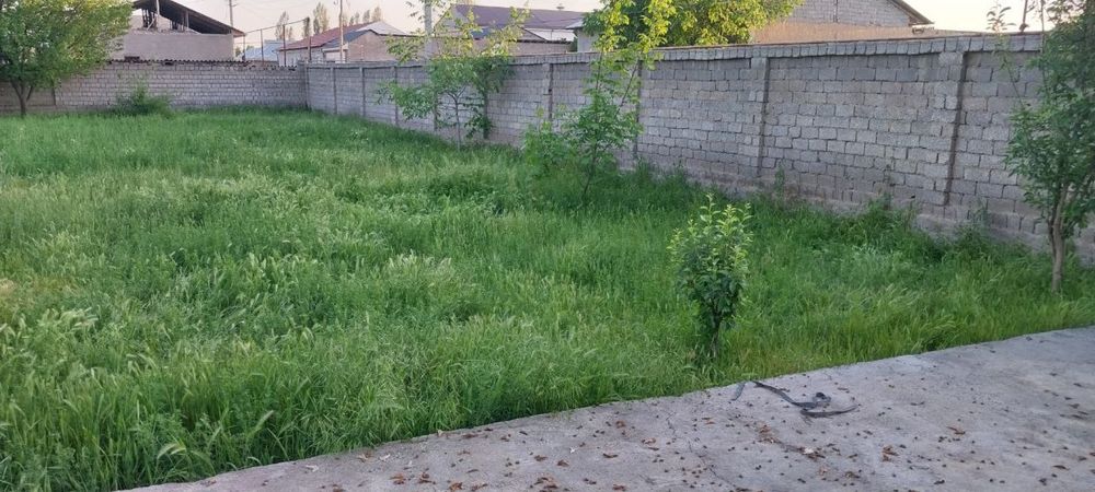 тезда сотамиз участкамиззи