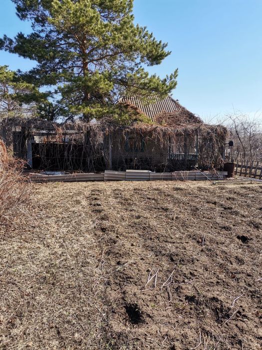 Продам дачу 19 маршрут 4 обшество