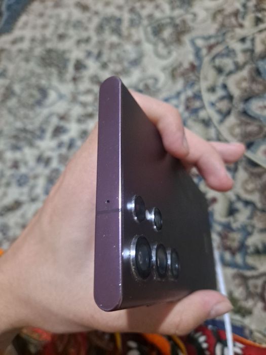 S 22 ultra 24/256