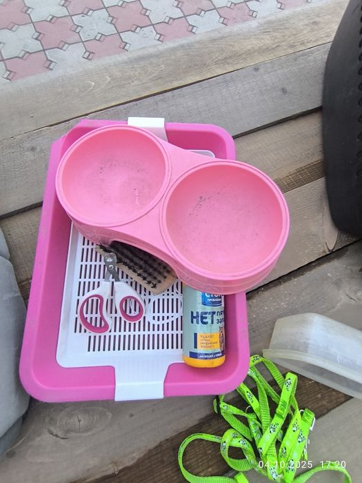 Животные , лоток ножницы