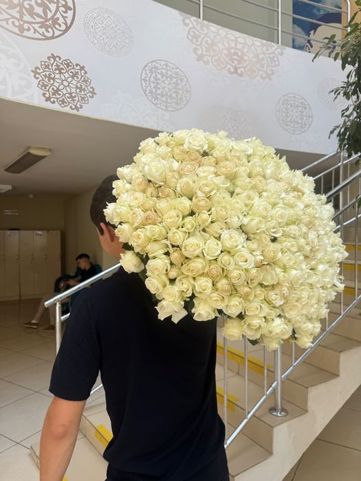 только сегодня 201 штук розу