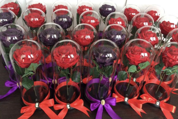 Trandafir rosu in cupola de 17-20-25 cm