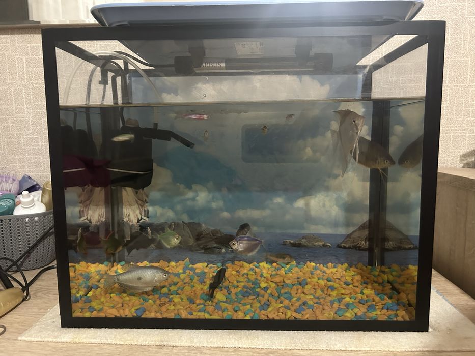 Продам аквариум 30 литров