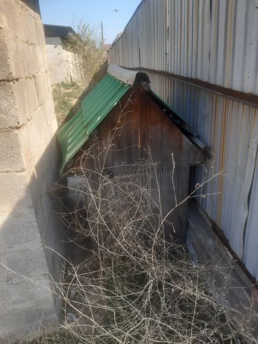 Итке ұя/Большой домик