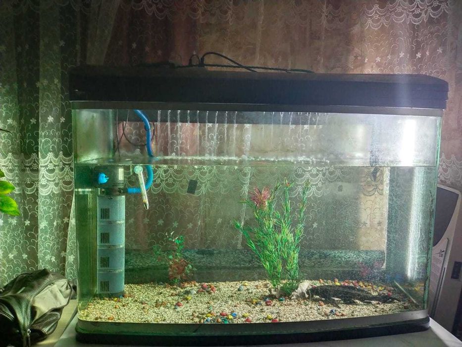 Продам  укомплектованный аквариум