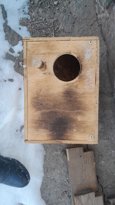 Продам гнездо для папугай