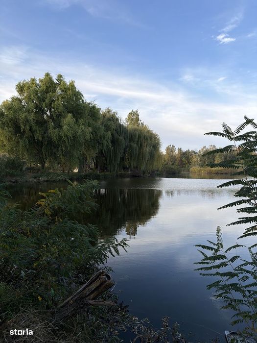 Baltă Pescuit cu cabana / Afacere la cheie