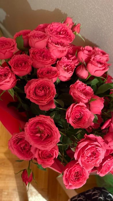 Срочно продам 51 шт Кустовые розы фото сегодняшние