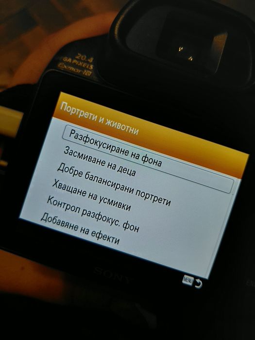 Фотоапарат Sony Cyber-shot DSC-HX350