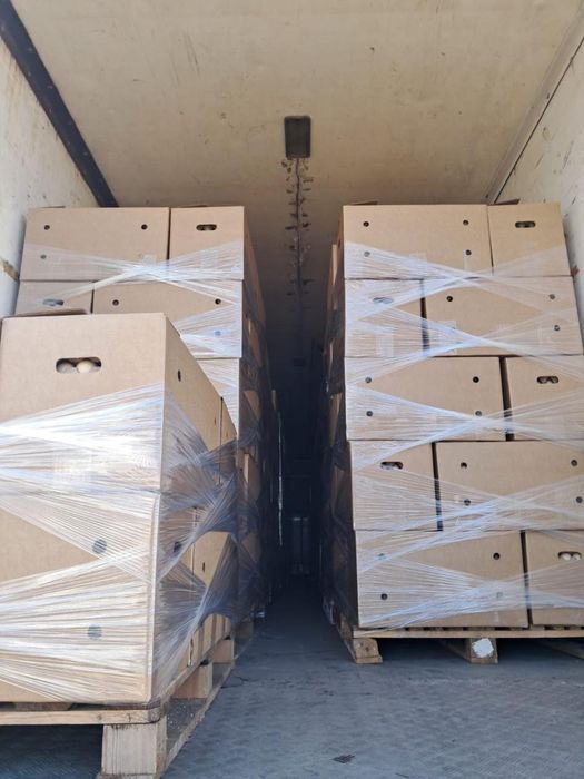 Инкубационное яйцо бройлеров