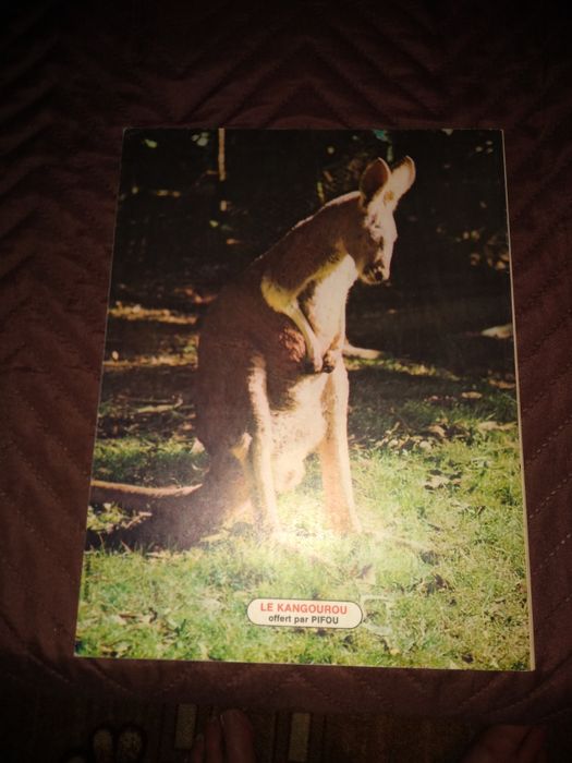 Помагало, книга, за малките