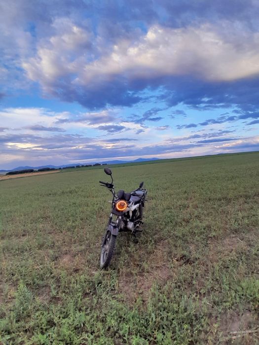 Продам альфу срочно