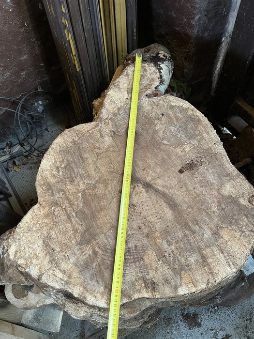 blat masute, rondele lemn