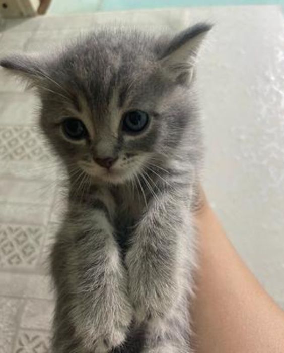 Самые милые малыши 1.5 мес