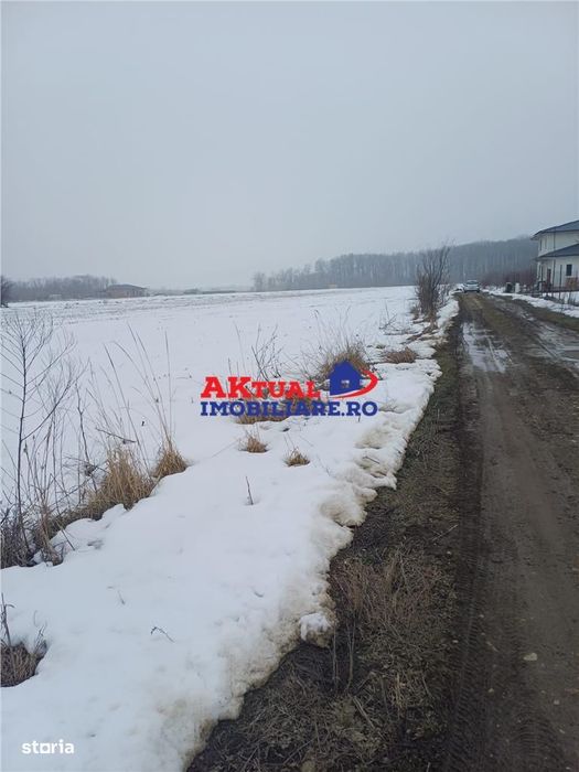 Vanzare Teren-8100mp-Domnesti -Teghes